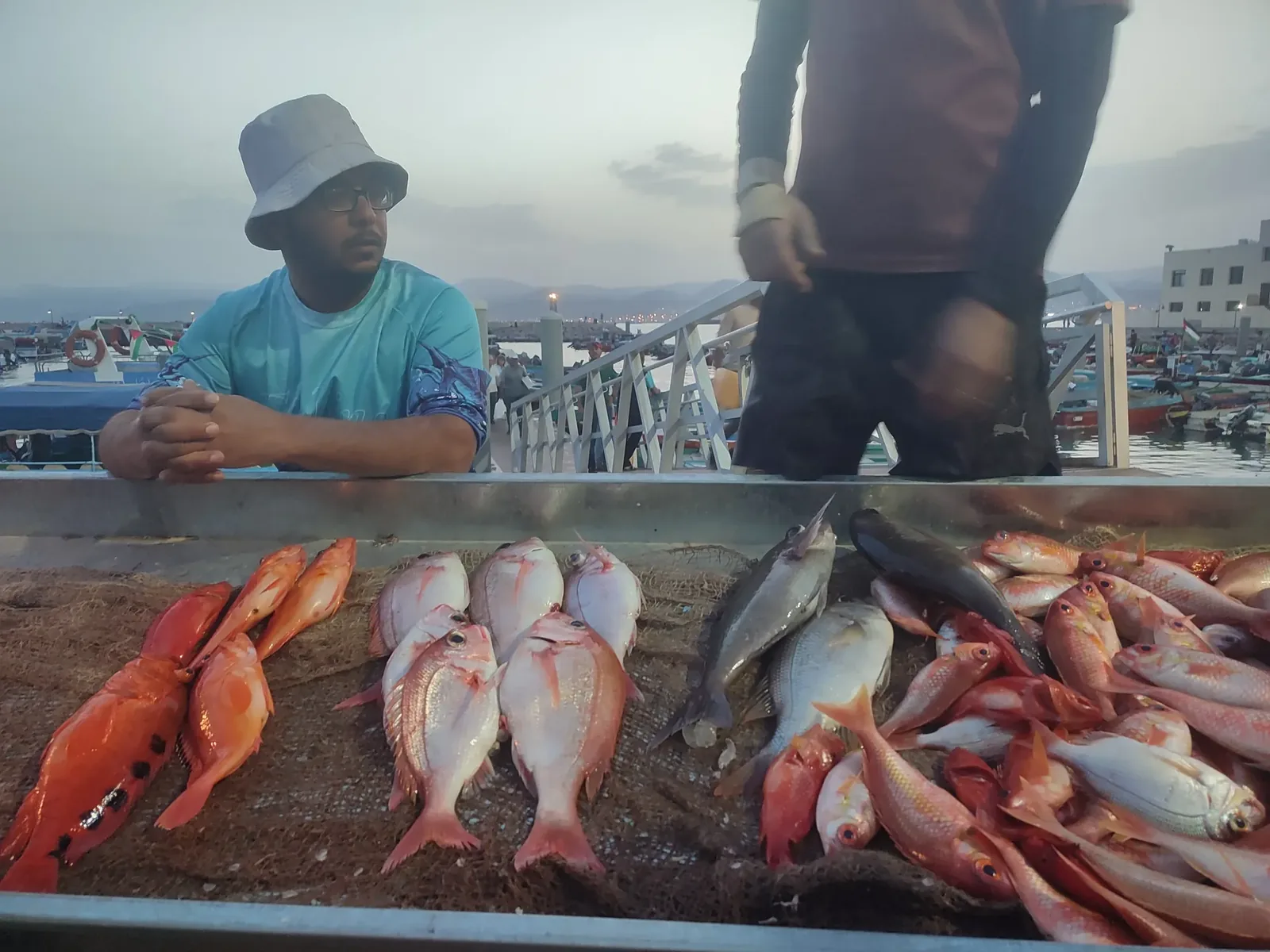 Aqaba fish souk